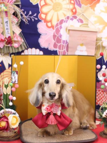 20240116そらくん